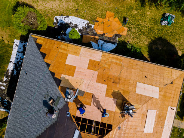 Best Metal Roofing Contractor  in Fort Hunt, VA