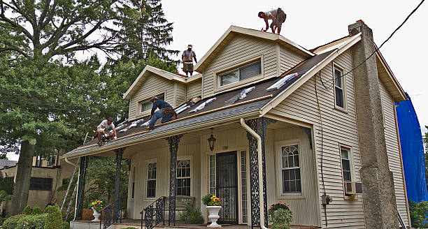 Best Roof Gutter Cleaning  in Fort Hunt, VA