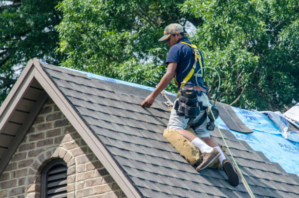 Roof Gutter Cleaning in Fort Hunt, VA